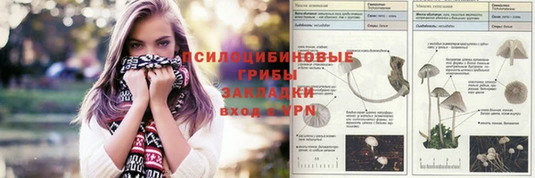 ГАЛЛЮЦИНОГЕННЫЕ ГРИБЫ Саяногорск